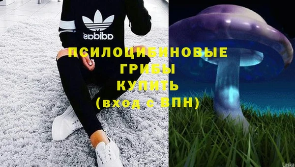 дживик Бердск