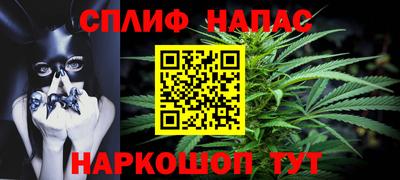 шишки Бийск