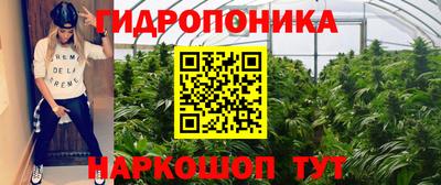 шишки Бийск
