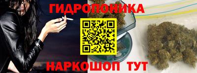 шишки Бийск