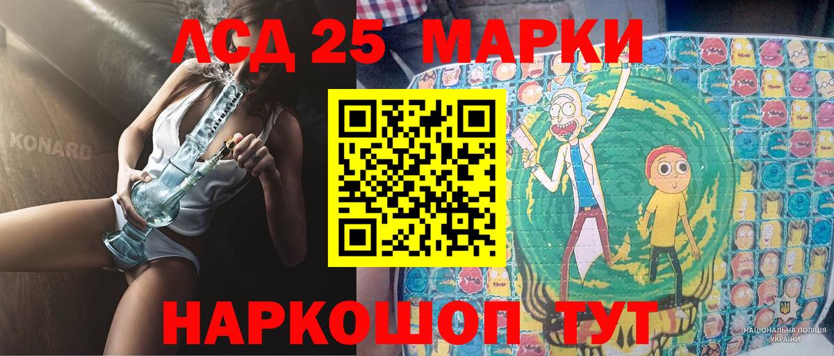 Псилоцибиновые грибы Кандалакша