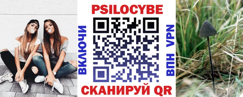 Псилоцибиновые грибы прущие грибы  где купить   Кандалакша 
