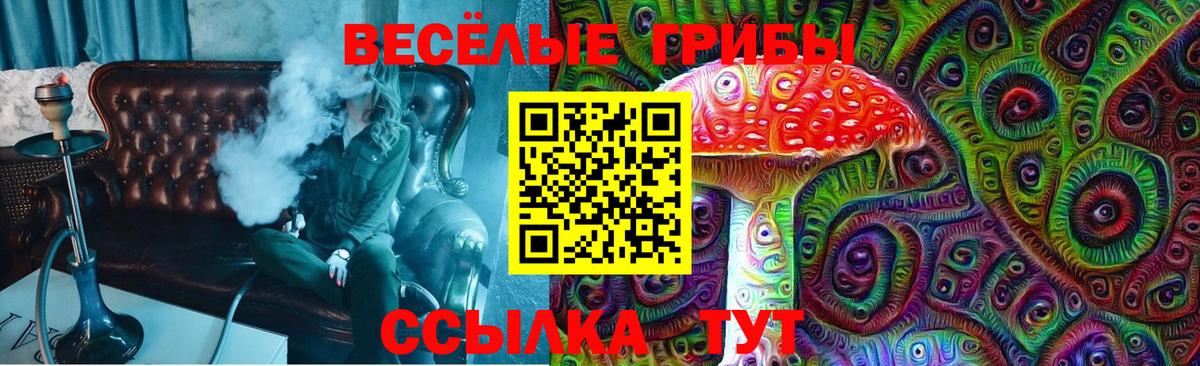 Псилоцибиновые грибы Magic Shrooms Кандалакша