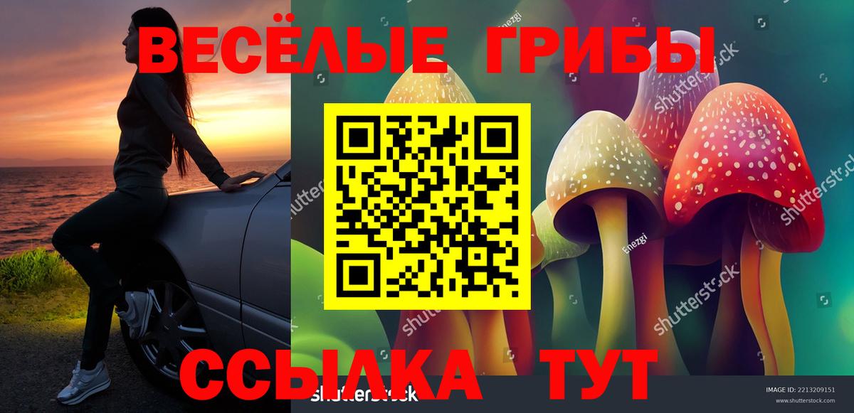 Псилоцибиновые грибы мухоморы  Псилоцибиновые грибы Psilocybine cubensis  Кандалакша 