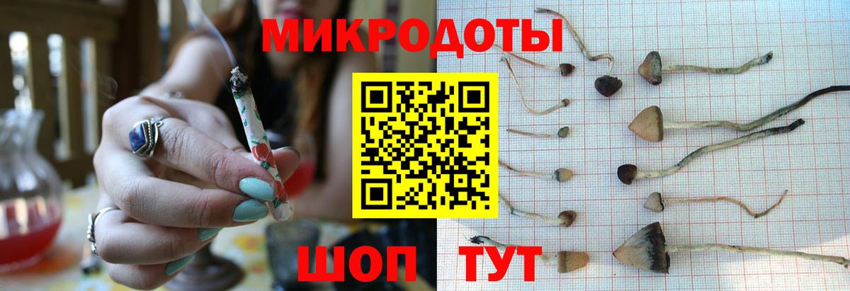 Галлюциногенные грибы MAGIC MUSHROOMS Кандалакша