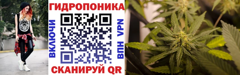 OMG маркетплейс  Кандалакша  Бошки Шишки марихуана  как найти закладки 
